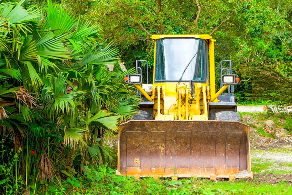 Dozer na amazônia — Fotografia de Stock