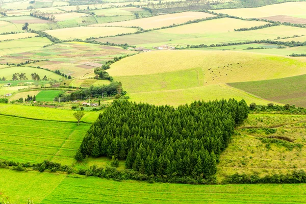 Agricultura nas terras altas dos Andes — Fotografia de Stock