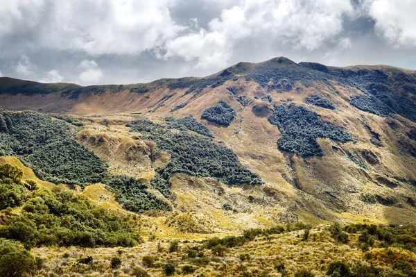 Landscape In Andes Mountains — Stock Photo, Image