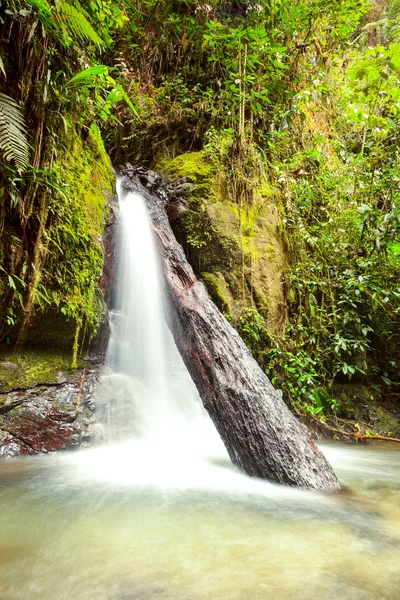 Waterfall In Ecuador — Stock Photo, Image