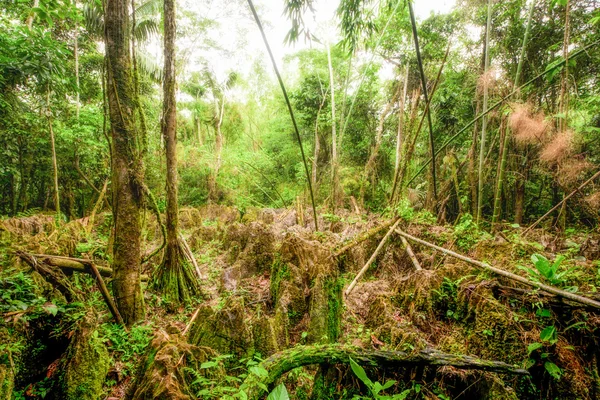 Natuurlijke rotsen labyrint formaties — Stockfoto