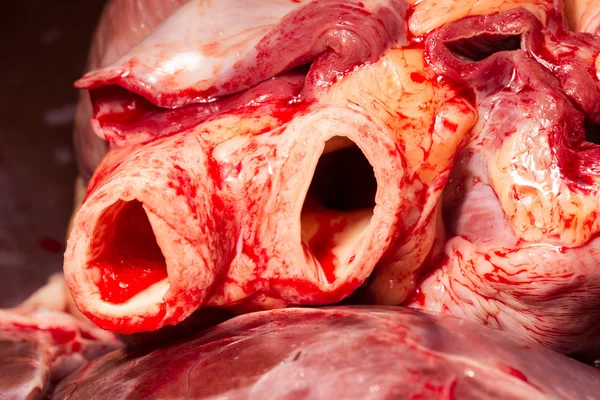 Close Up View Of Cattle Heart Blood Arteries