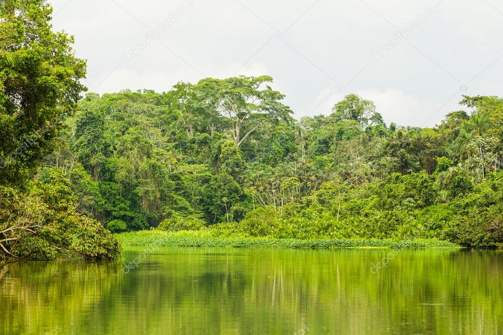 Limoncocha Lagoon In Ecuador