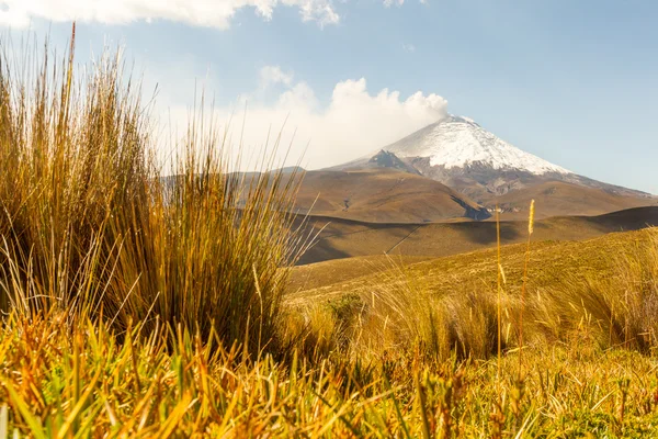 Cotopaxi-Vulkan in Ecuador — Stockfoto