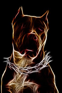 Staffordshire Terrier illüstrasyon