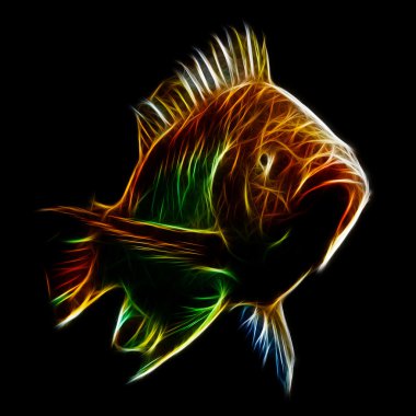 Tilapia balık kırmızı benekli