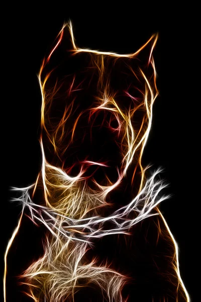 Illustration du Staffordshire Terrier — Photo