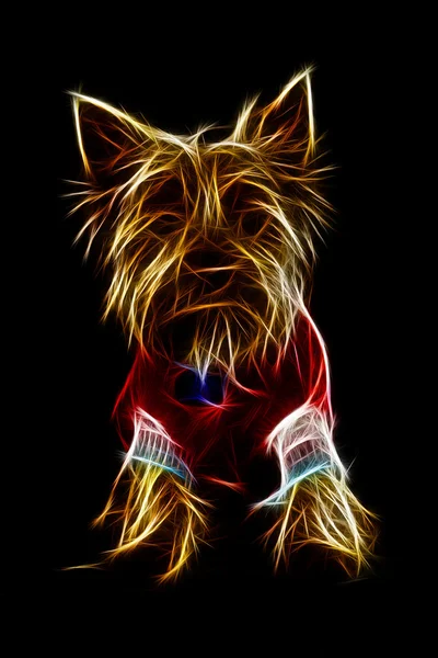 Yorkshire Terrier Ilustración de perros —  Fotos de Stock
