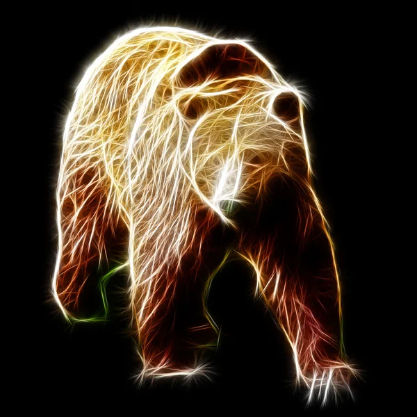 Αρσενικά καφέ αρκούδα — Φωτογραφία Αρχείου
