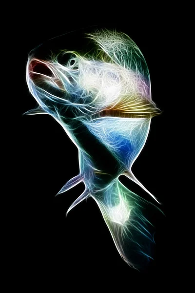 Arco iris trucha pescado fractal —  Fotos de Stock
