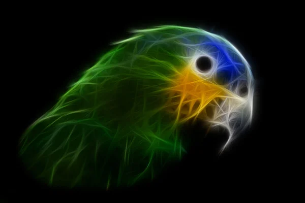 Blue Headed Parrot — Stock Photo, Image