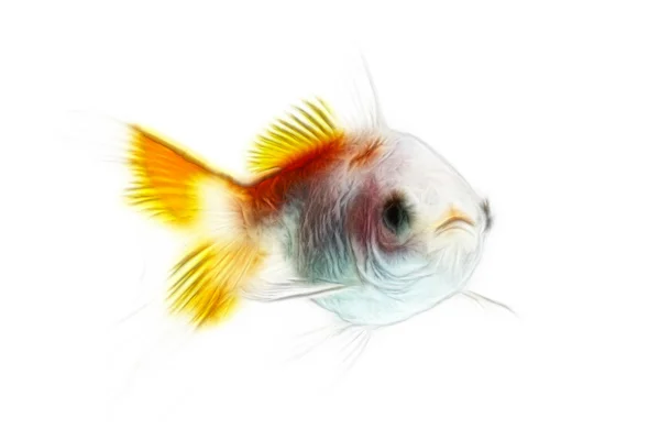 Goldfish fractales aislado en blanco —  Fotos de Stock