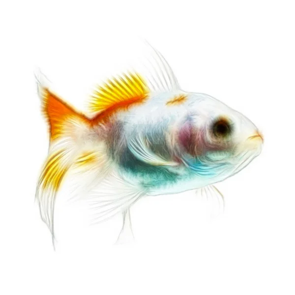 Goldfish fractales aislado en blanco —  Fotos de Stock