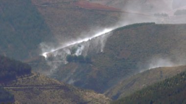 Yüksek irtifa ormansızlaşma