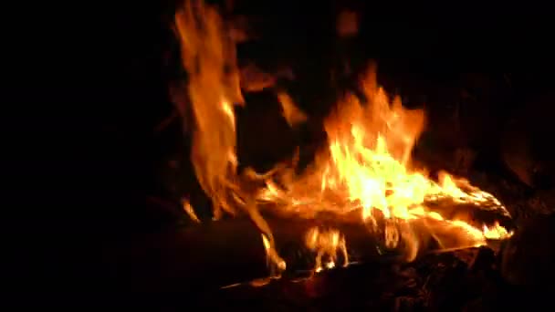 Wood Fire Slow Motion In The Dark — Stock Video