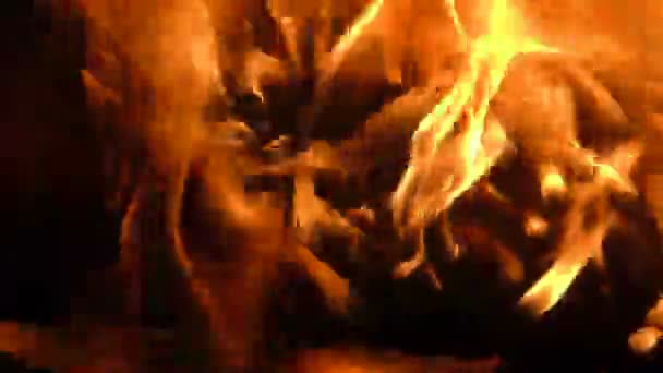 Вогонь лісу крупним планом вночі — стокове відео
