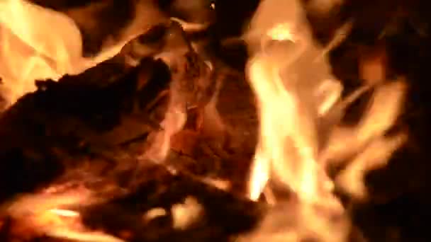 Bonfire närbild flame — Stockvideo