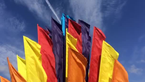 Flaggen im Wind — Stockvideo