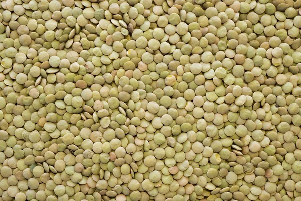 Green lentil seeds Stock Image