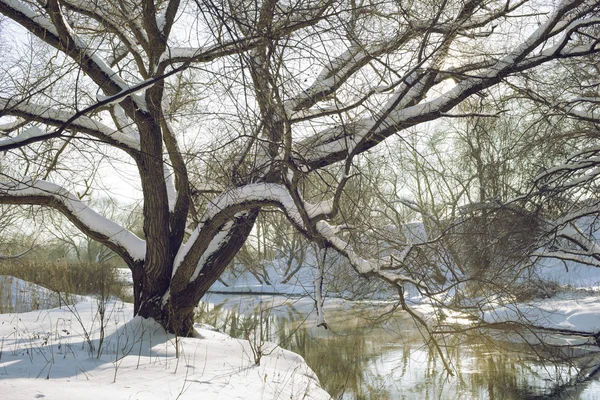 Heldere winterlandschap — Stockfoto