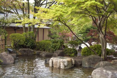 Japon zen Bahçe Havuz