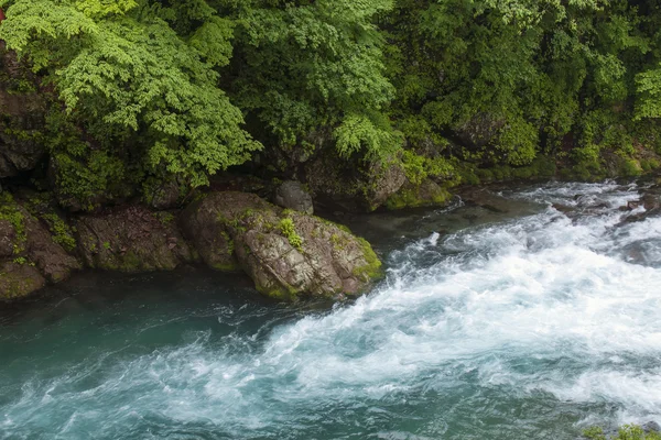 Rivière de montagne au Japon — Photo