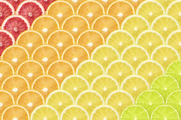 Different Citrus Fruits Diagonal Stripes — Stock Photo, Image
