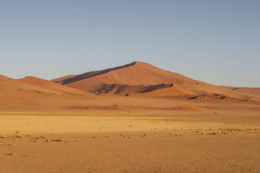 Namibya 'da kırmızı kum tepeleri olan çöl manzarası