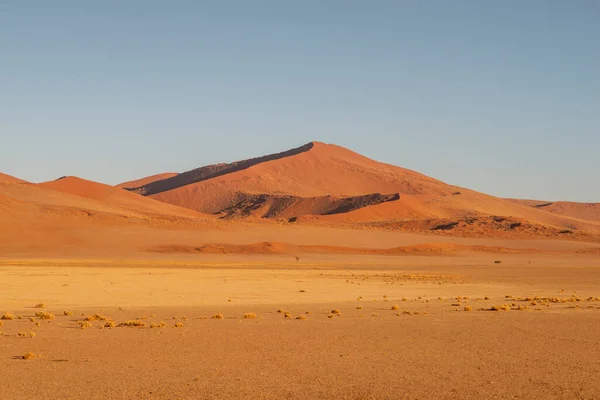纳米比亚有红色沙丘的沙漠景观 — 图库照片