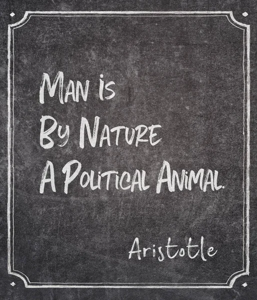 人类本质上是一种政治动物 古希腊哲学家亚里士多德在框架黑板上的名言 — 图库照片