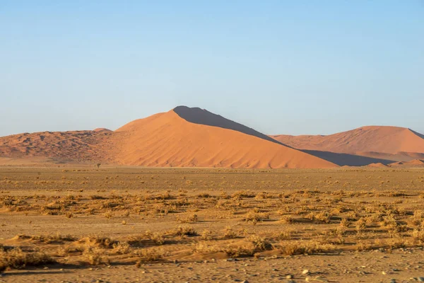Güneşli sabahta Namibya 'da kırmızı kum tepeleri olan çöl manzarası