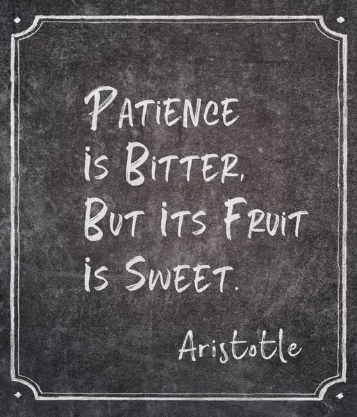 Patience Bitter Its Fruit Sweet Ancient Greek Philosopheraristotle Quote Written — Stock Photo, Image