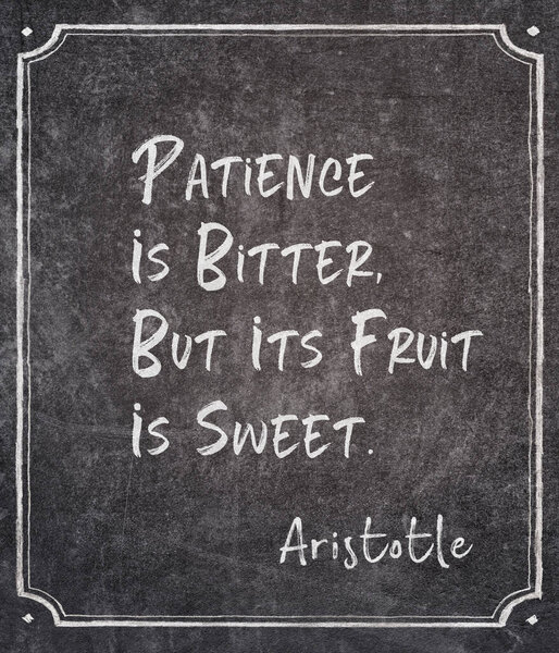 Patience is bitter, but its fruit is sweet - ancient Greek philosopherAristotle quote written on framed chalkboard