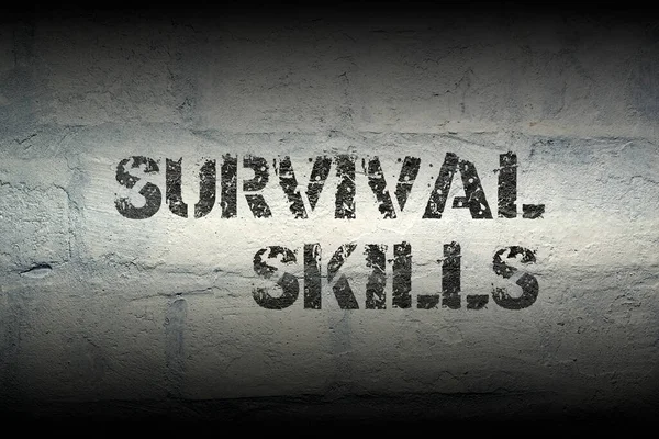 Survival Skills Stencil Print Grunge White Brick Wal — Stock Photo, Image