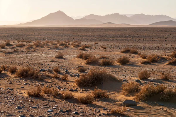 Woestijn Landschap Met Verre Bergen Van Namibië Door Mornin — Stockfoto