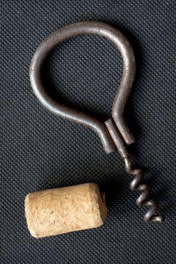 mantar ile düşünüp