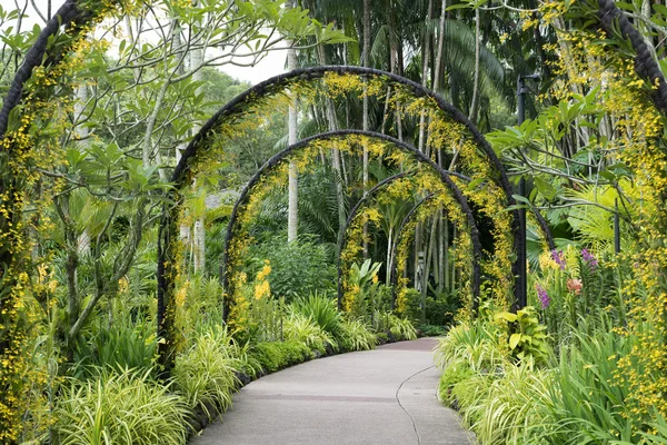 Jardín Botánico de Singapur — Foto de Stock