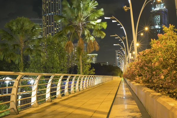 Singapura noite — Fotografia de Stock