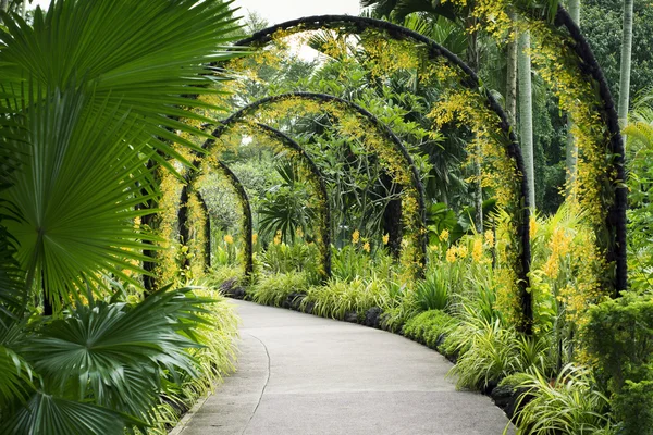 Ogród botaniczny ścieżka — Zdjęcie stockowe