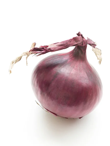 Whole onion — Stock Photo, Image