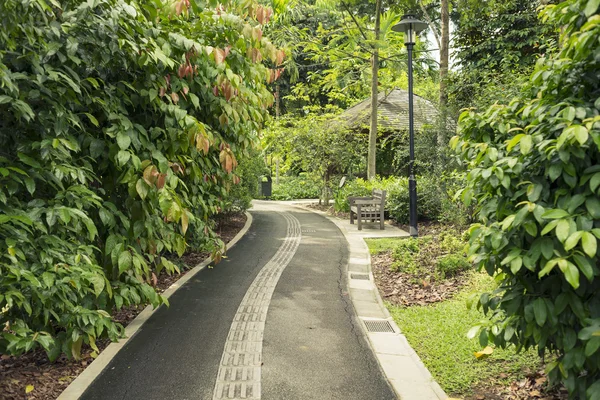 Camino del jardín — Foto de Stock