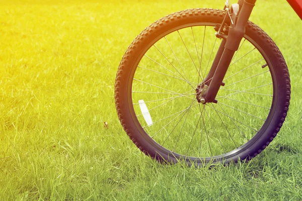 Ruota per bicicletta — Foto Stock