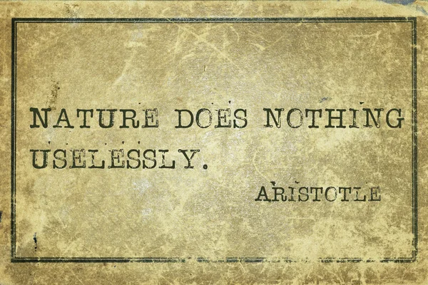 アリストテレス自然 — ストック写真