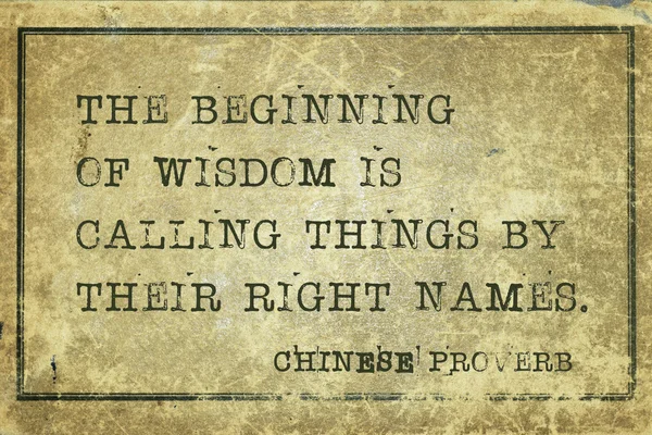 Wisdom CP — Stock Photo, Image