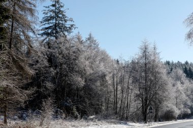 Der Frost şapkası Griff 'i şenlendiriyor.