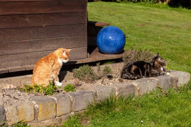 Auch wenn es sehr Kalt ist, die Sonne waermt die beiden auf