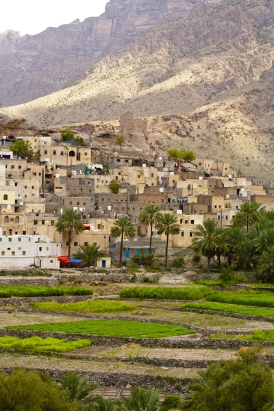 Oase in de bergen van Oman — Stockfoto