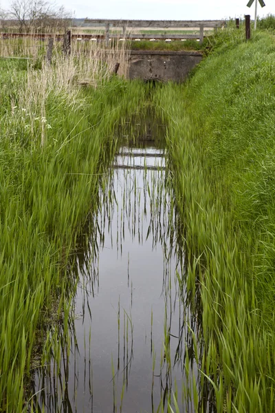 農村排水システム — ストック写真