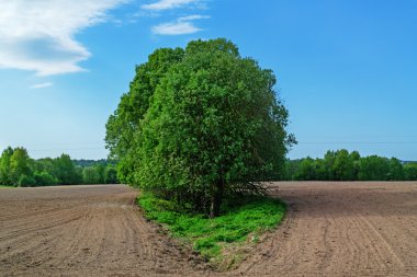 sürülmüş tarım alanı.