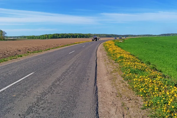 Asphalt road through spring field with dandelions. — Stock Photo, Image